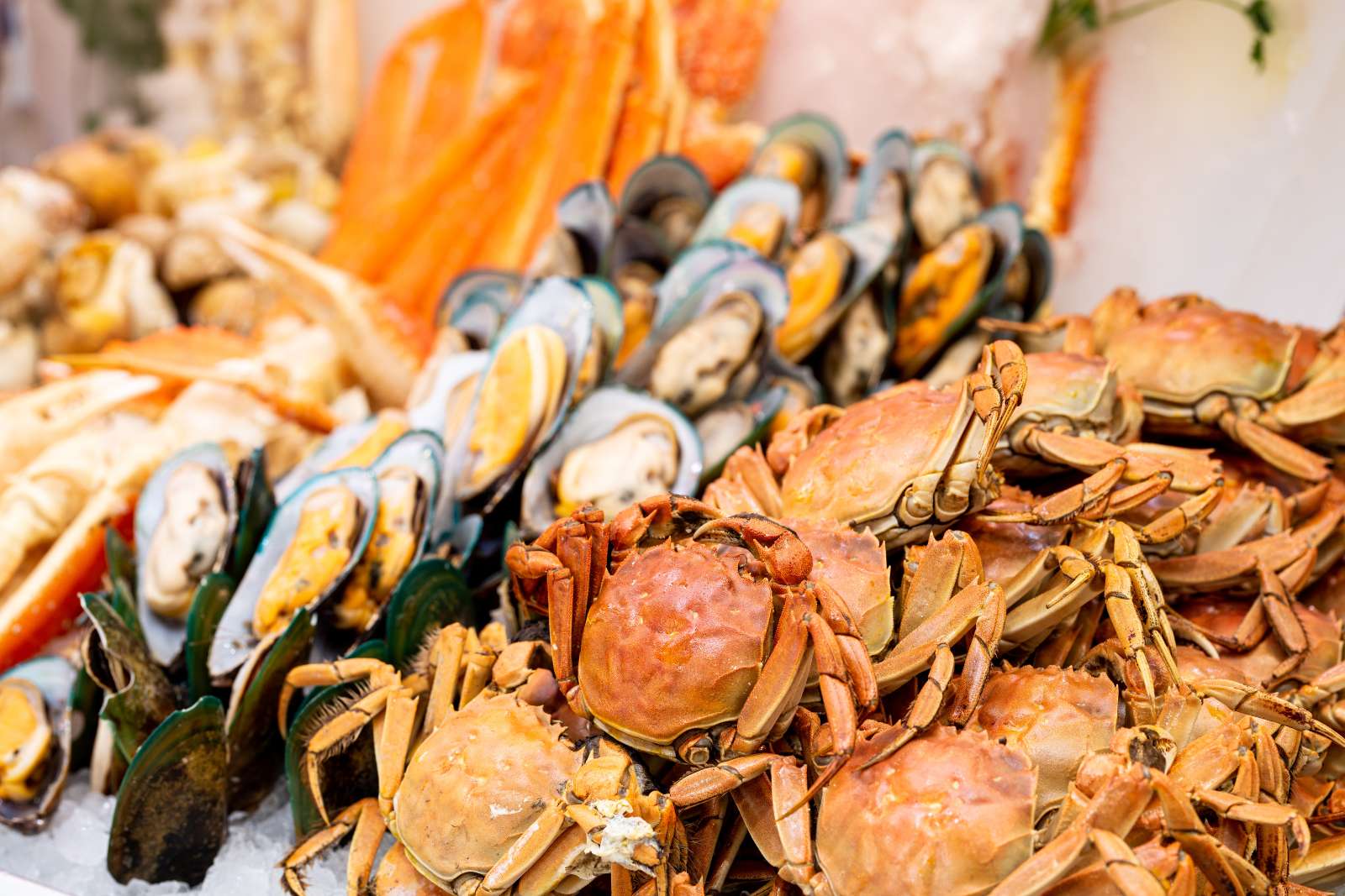 Fish and Shellfish Allergy blog