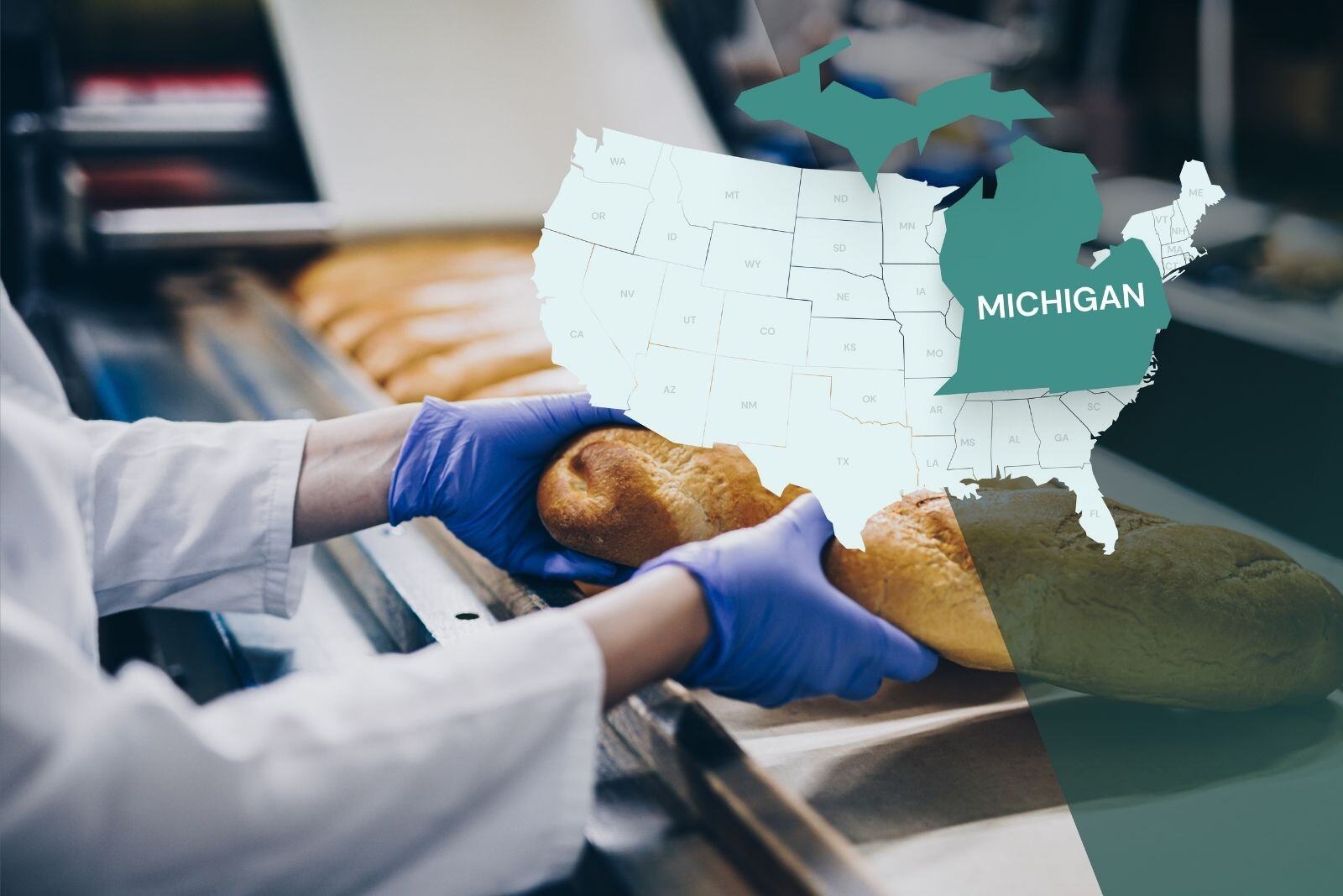 Michigan Food Safety: What Training or Certification Do I Need?