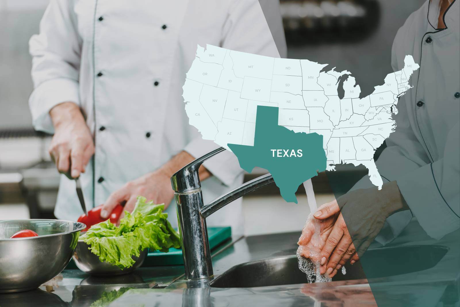 Texas food training and certification guide